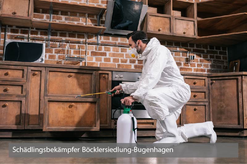 Schädlingsbekämpfer Böcklersiedlung-Bugenhagen